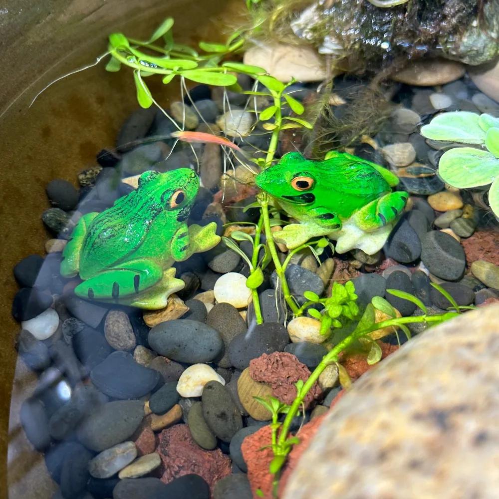 Simulated Frog Ornament, Water Tank, Fish Tank, Water Dispenser, Water Pool, Landscape Design, Resin Submerged Handicraft