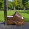 Las zapatillas de tacón alto más nuevas de moda de verano para mujer con suela gruesa de 9 cm de altura, zapatillas para interior y exterior, tipo nube, chanclas de EVA