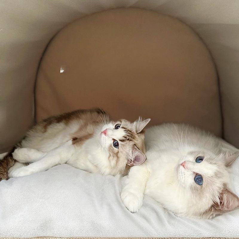 Das Winter-Katzennest ist warm und dick, halbgeschlossen, für mehrere Haustiere, Familienkätzchen, erwachsene Katzen, großes Katzenbett, Zwinger, Haustiernestmatte