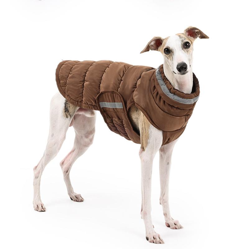 Psí oblečení Zimní oblečení Zimní zateplené Zimní Zlatá srst Hedvábně teplé Velcí a malí psi a kočky Zahraniční oblečení pro mazlíčky