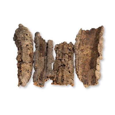 Plazi – Terária pro plazy