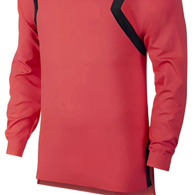 Jordan Sweatshirts Mens Hooded Moderate Regular AJ1125-850