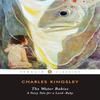 The Water Babies by Charles Kingsley Paperback Book 9780143105091