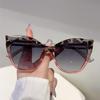 Cat Eye Sunglasses Women  New Fashion Vintage Multicolor Casual Sun Glasses Trendy Luxury Brand Design Decor Shades