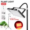50W Phyto Lamp Full Spectrum for Greenhouse Hydroponic Plants Growing Lamp Standing for Seedlings LED Grow Light
