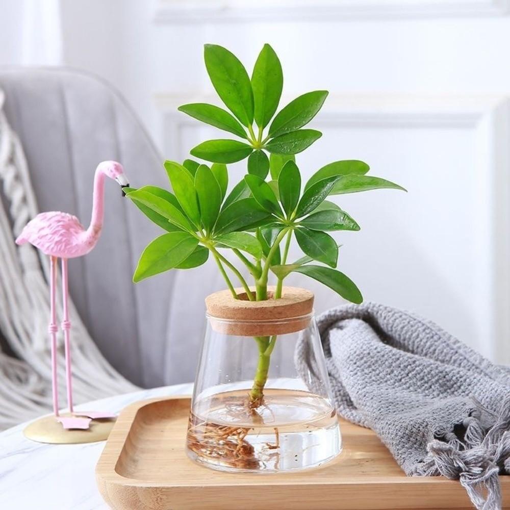 Wooden Base Glass Planter Thick Flower Arrangement Vase Modern Style Vase Rack  Home Decoration