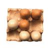 Simulated Egg Refrigerator Magnet Resin 3D Egg Decorative Fridge Magnet Memo Notes Po