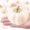12 Pack Christmas Artificial Pumpkin Sets Made of Foam Simulation Pumpkin Ornament for Autumn Hallow