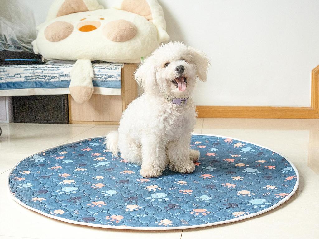 Pet Non-Slip Tear-Resistant Dog Mat - Waterproof for Dog House Use