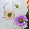 Macaron Color Handmade Crepe Paper Poppy Flowers DIY Pack for Large Decoration