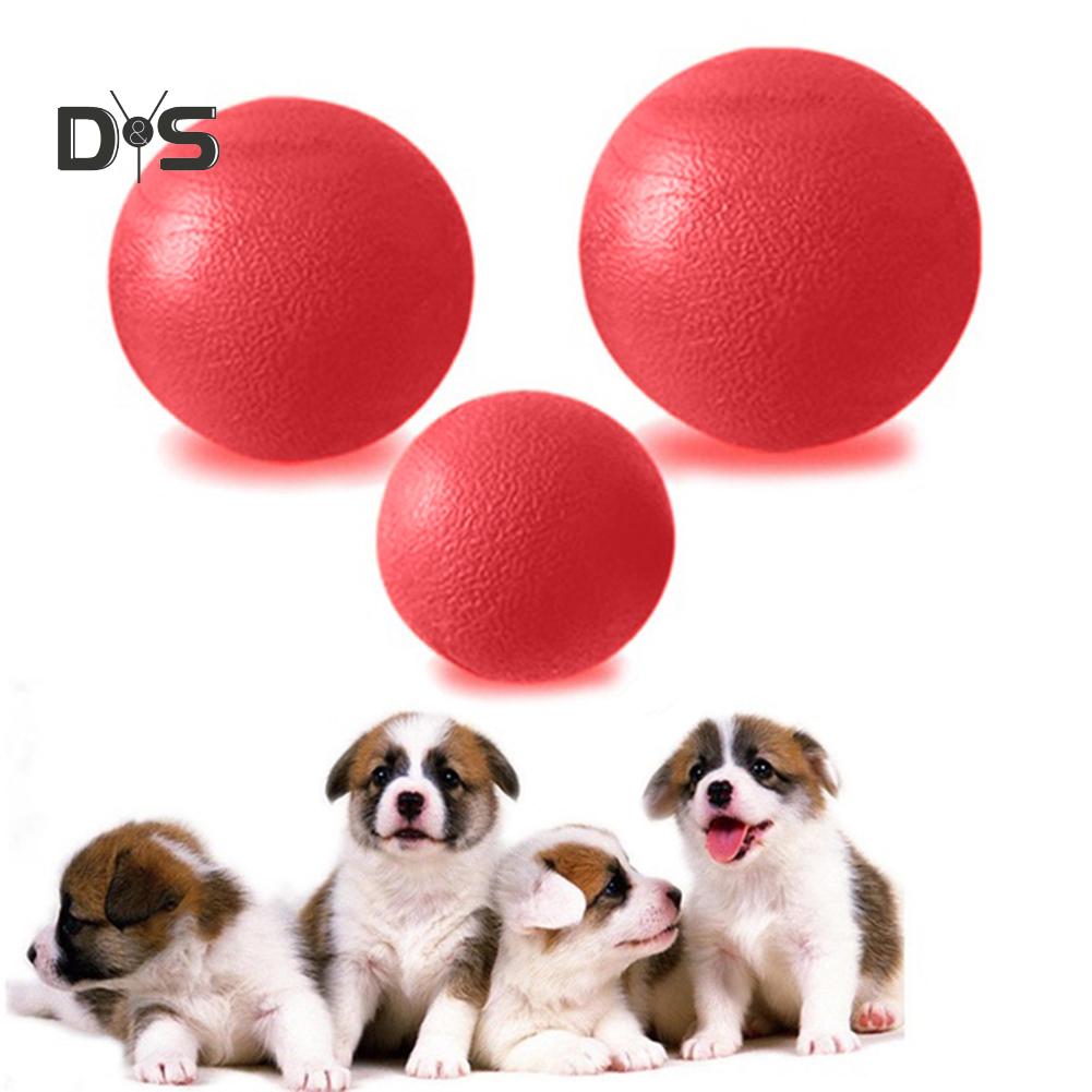 dog bouncing ball
