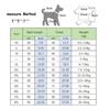 Gilet Raffreddante per Cani Camicie Traspiranti Giacca Fresca Protezione Solare Cane Cucciolo Camicia Fresca per Passeggiate all'Aperto Allenamento Escursionismo in Estate