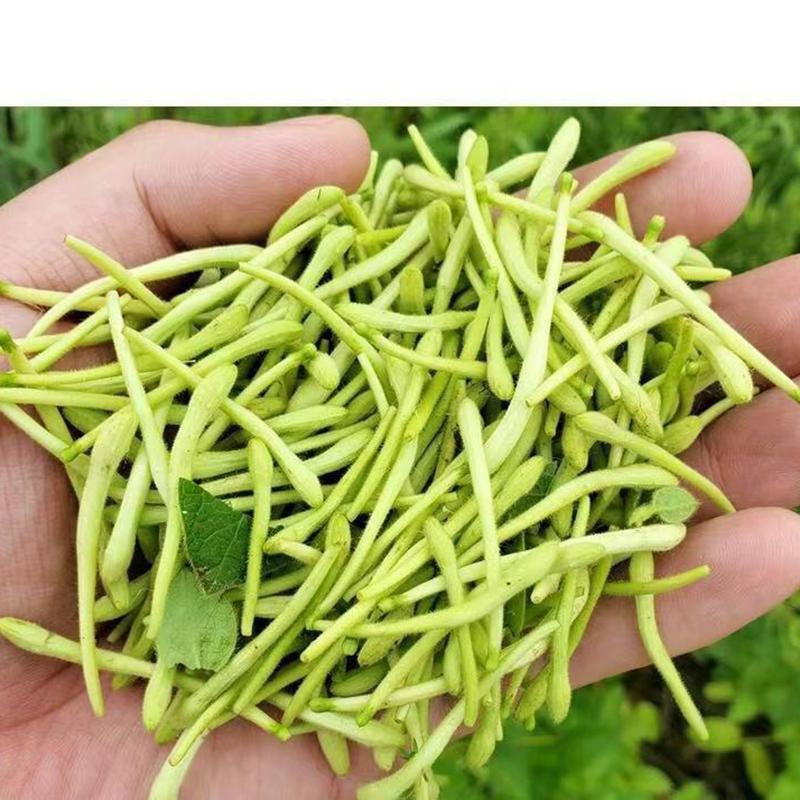 250g/500g Traditional Health Herbs Honey Suckle Dried Herbal Tea Honeysuckle Tea