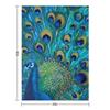 Peacock Full Glory 2 Throw Blanket Picnic Personalized Gift Hairys Designers Blankets