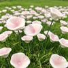 3 Stück Keramik-Insekten-Trinknapf Blumenform Bienen-Bewässerungsstation Hof