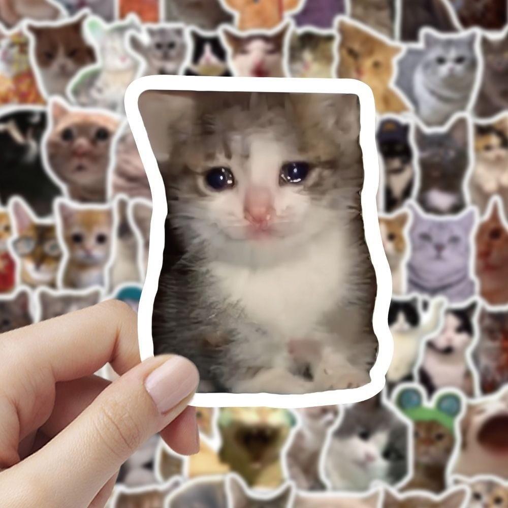 100pcs Removable Funny Cat Stickers Self-Adhesive DIY Decals Funny MEME Graffiti Stickers