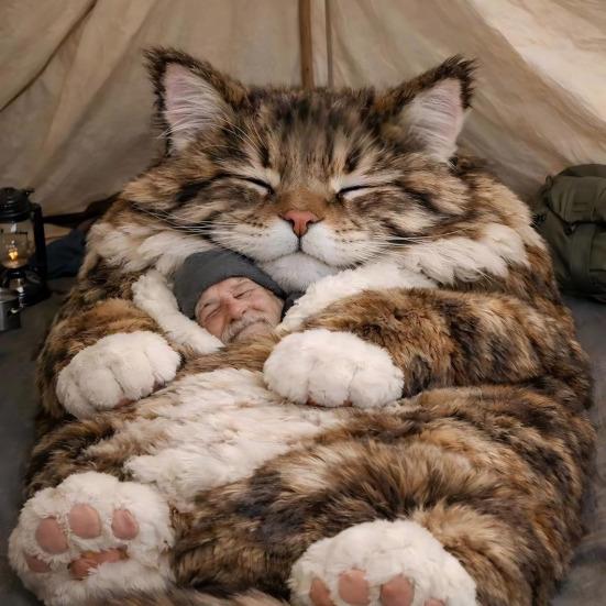 Plüsch-Umschlag-Schlafsack für Erwachsene Katze Frosch Hai Schlange Kaninchen Schlummerbeutel Zuhause Reise Kaltes Wetter Männer Frauen Plüschtier Nickerchenmatte