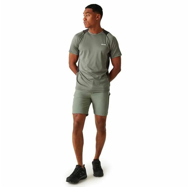 Regatta Шорты Mountain II