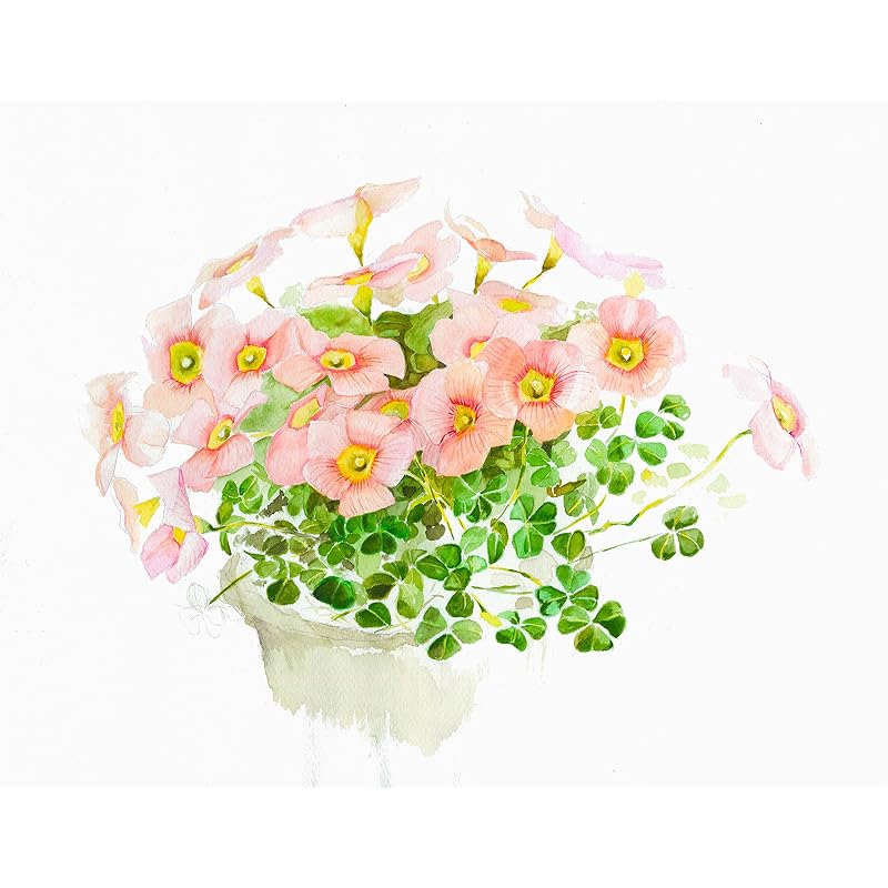 Muse Watercolor Paper White Watson Block F6 300g White 15 Sheets HW-306 F6