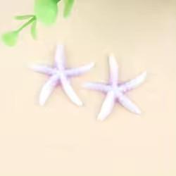 E-Commerce Firm Sale 40mm Flatback Resin Cabochons Large Starfish Design with Artificial Sea Theme for Souvenirs