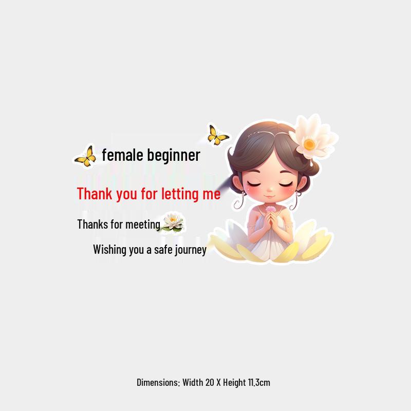 Grateful Meet Sticker: Wishing a Safe Journey - Rear Windshield Decal for New Drivers