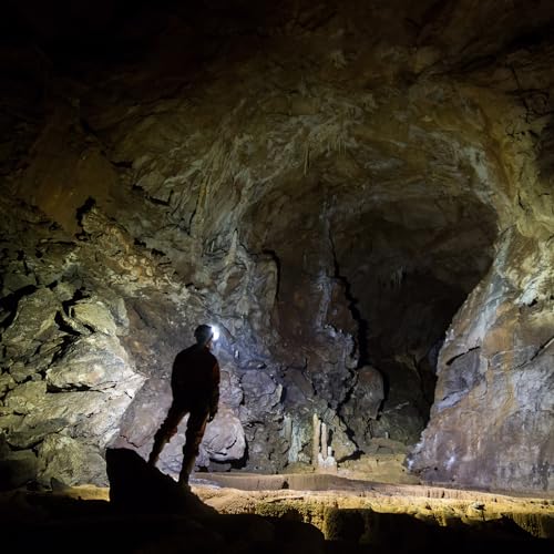 Lepro Rechargeable LED Headlamp with Sensor, COB & XPE Light Source, 230° Wide Angle, Waterproof for Fishing and Mountaineering. [350lm High Brightnes