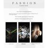 AILANG New Men's Watches Automatic Mechanical Watches Skeleton Men's Watches Wristwatches Waterproof