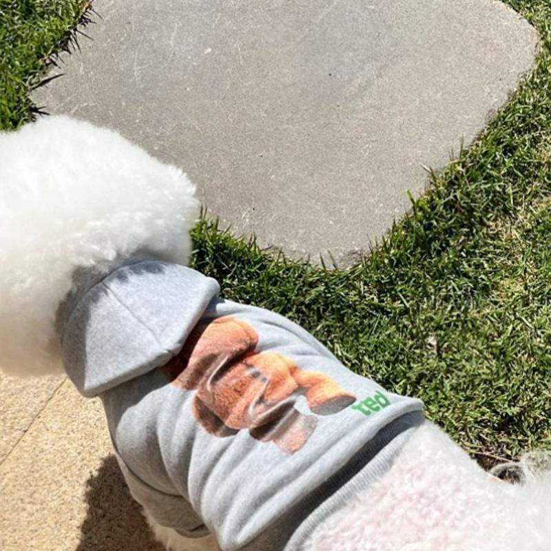 

Pet dog autumn and winter two-legged fashion shy bear sweater cat cute casual hooded teddy clothes XXL (recommended weight 15-10 kg)