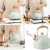 Modern Stainless Steel Whistle Kettle With Collapsible Handle For Home Kitchen And Gift Use