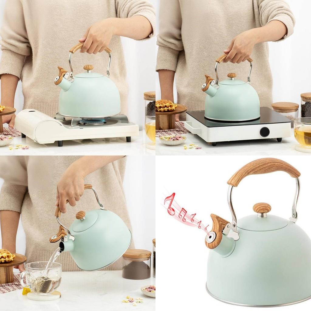 Modern Stainless Steel Whistle Kettle With Collapsible Handle For Home Kitchen And Gift Use