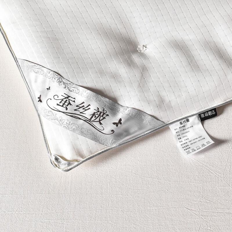 Royal Sleep Home Satin Silk Quilt HQ-BZ1814