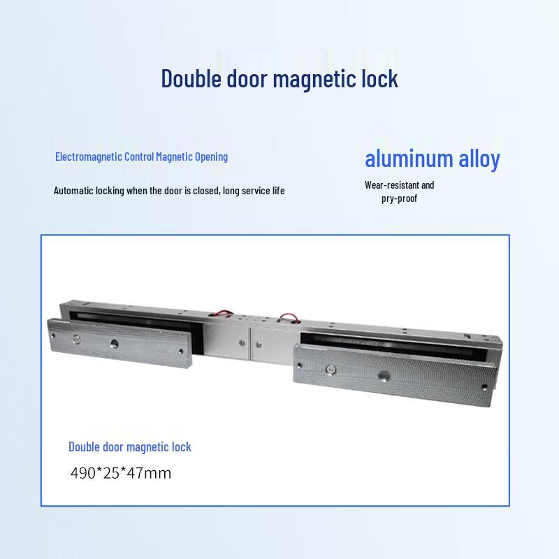 Realand Fingerprint Access Control System with Double Magnetic Lock CN plug (adapter included)
