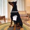 Dog Clothes Large Dog Thin Golden Retriever Labrador Doberman Fake Two-piece Ball Clothing Large Dog Clothes Summer Clothes