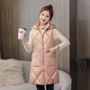 Gilet con cappuccio tinta unita da donna autunno inverno caldo ispessimento sciolto giacca senza maniche da donna