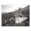 Scandinavian Poster and Print Winter Nature Landscape Canvas Painting Beer Deer Animal Wall Art Picture Nordic Style Home Decor