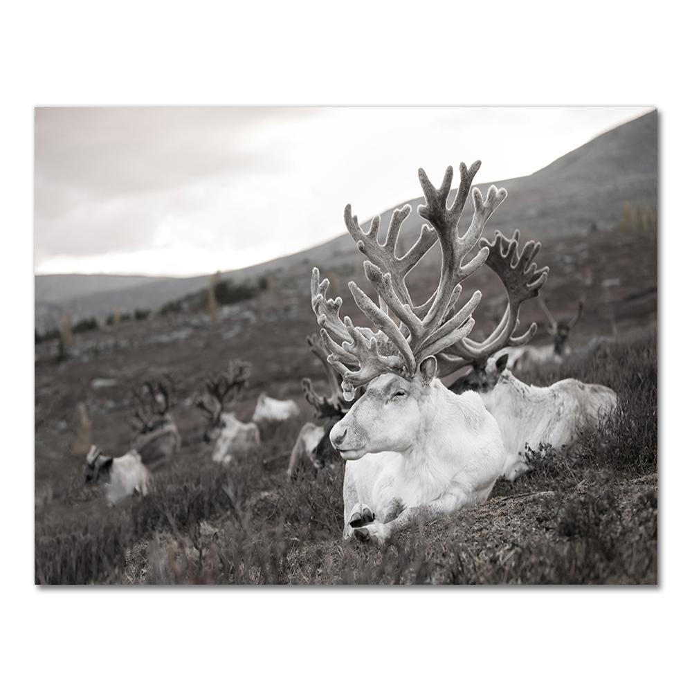 Scandinavian Poster and Print Winter Nature Landscape Canvas Painting Beer Deer Animal Wall Art Picture Nordic Style Home Decor