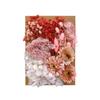 Dried Flower Material Set Dried Flower Package Flower Arranging Supplies for DIY