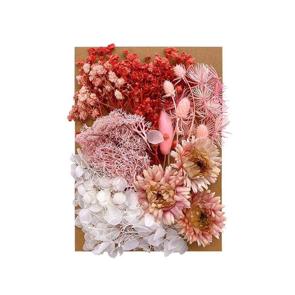 Dried Flower Material Set Dried Flower Package Flower Arranging Supplies for DIY