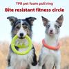 Dog Flying Disk Training Ring Puller Toy Interactive Chewing Toy for Puppy Outdoor Playing Game Durable Pet Supplies