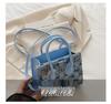 Korean Style Denim Plaid Women's Crossbody Shoulder Bag - Autumn Collection
