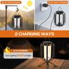 Solar Lanterns Outdoor Hanging Lights Waterproof 2 Charging Way Solar Flame Light for Outside Decorative Lantern for Christmas