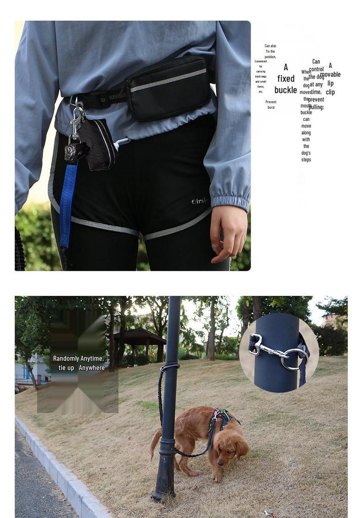 New Dog Sports Waist Pack with Multi-Purpose Running Leash Set