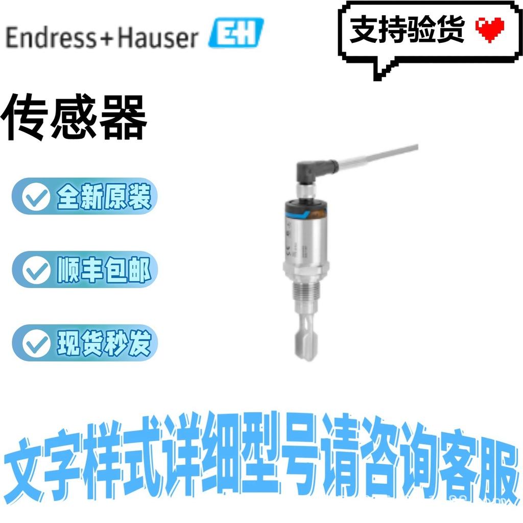 Endress+Hauser E+H FTL31 Tuning Fork Level Switch FTL31-11C6 FTL31-AA4U3AAWDJ Available