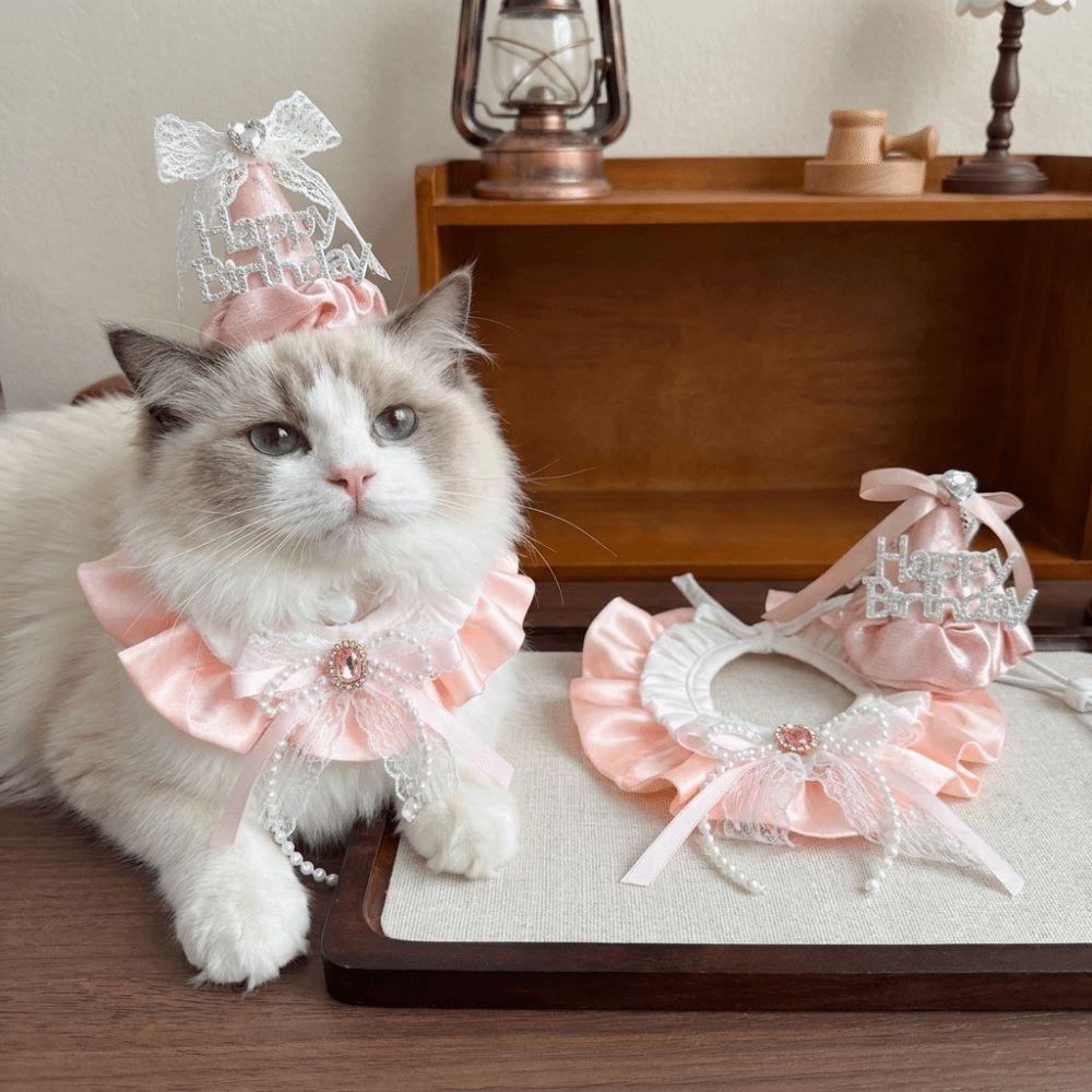 Hat Collar Set Pet Birthday Hat Pearl Bow Pet Party Outfit Pet Birthday Accessory Set  Photoshoot