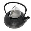 CAST IRON KETTLE 0.8L TEA AND HERB INFUSER 2x CUPS PLATE