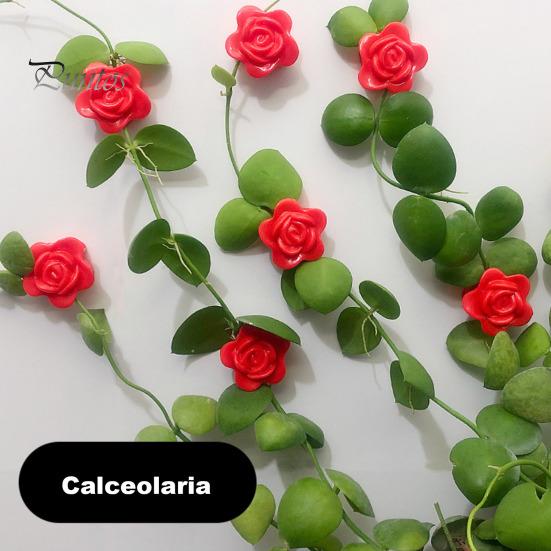 10Pcs Plant Climbing Wall Fixture Clip Self-Adhesive Climbing Vine Fixing Hook Traction Tool Wall Hanging Plant Support Clamp