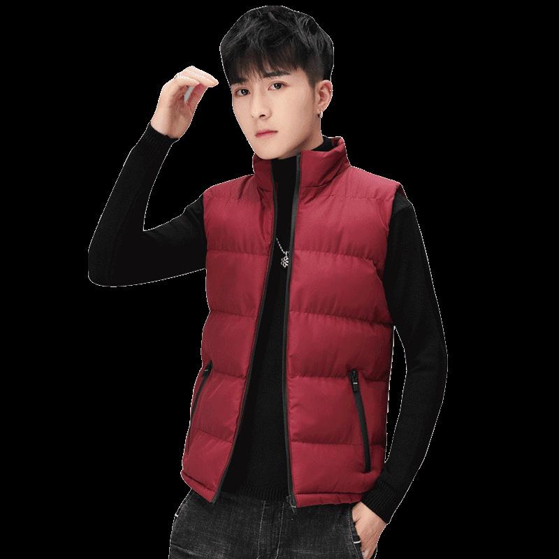 Autumn And Winter Korean Jacket Men's Stand Collar Down Cotton Jacket Leisure Waistcoat Thick Vest