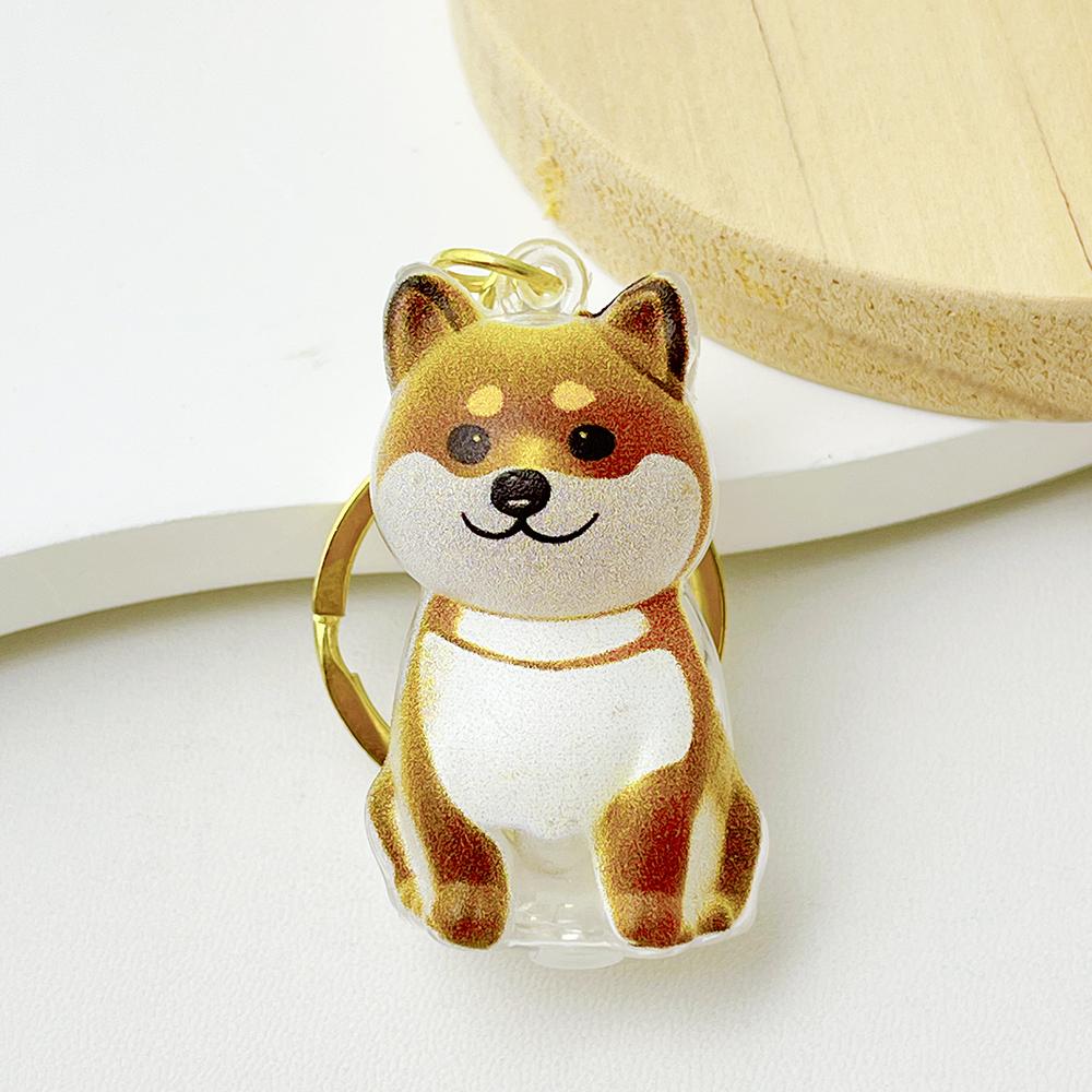 50pcs Cute Transparent Plastic Keychain Dog Hair Storage Keyring Bag Car Pendant For Family Member Souvenir Gift