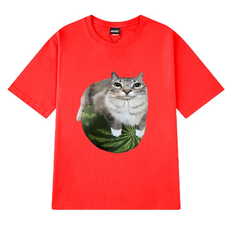 Funny Watermelon Cat Silly Cat Meme Printed T Shirt 2025 New Men Women Oversized Short Sleeve T-shirts Unisex 100% Cotton Tops