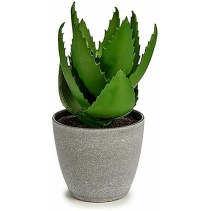 Plante décorative - IBERGARDEN - Aloe Vera - 15 x 23,5 x 15 cm - Plastique - Lot de 6